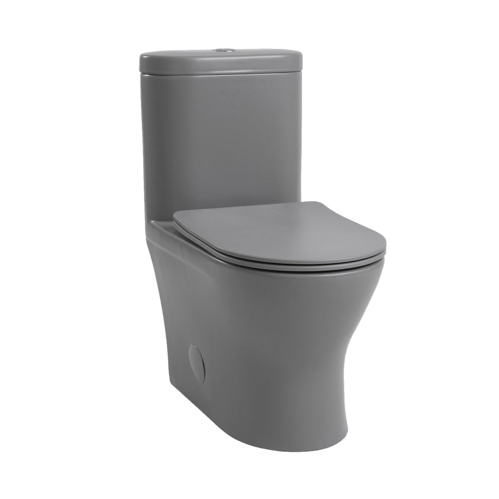 The Regal Lux Sensor One Piece Toilet